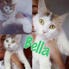 bella bella