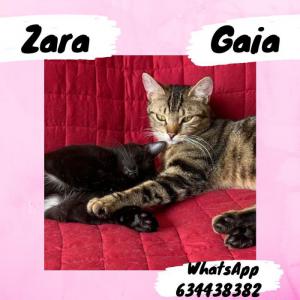 Zara y Gaia