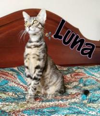 Luna