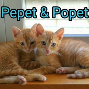 Popet & Pepet