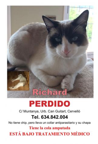 Perdido - Richard Perdido - Richard