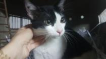Encontrado - Abrera Encontrado - Abrera