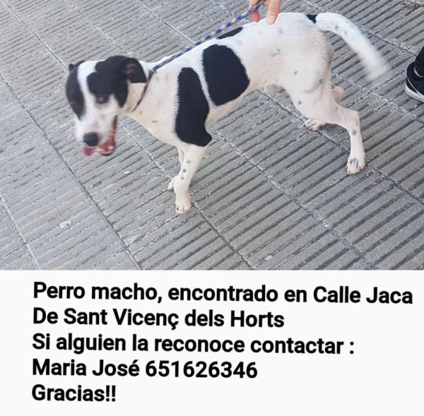Encontrado - Sant Vicenç Encontrado - Sant Vicenç