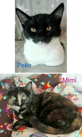 Peko & Mimí