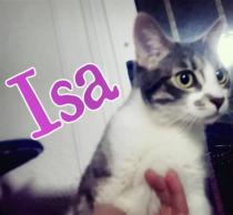 Isa Isa