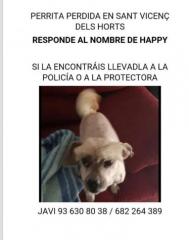 Perdida - Happy Perdida - Happy