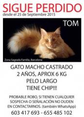Perdido Perdido