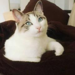 Misha