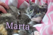 Marta Marta