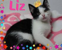 Liz Liz