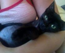 Lola Lola