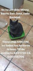 Perdido - Minnie Perdido - Minnie
