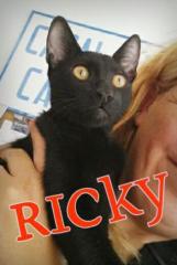 Riky Riky