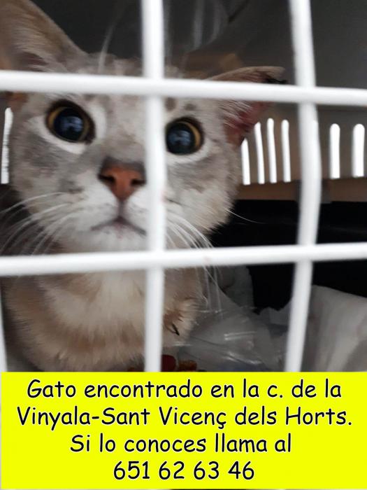 Encontrado Encontrado