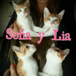 Sofia y Lia 