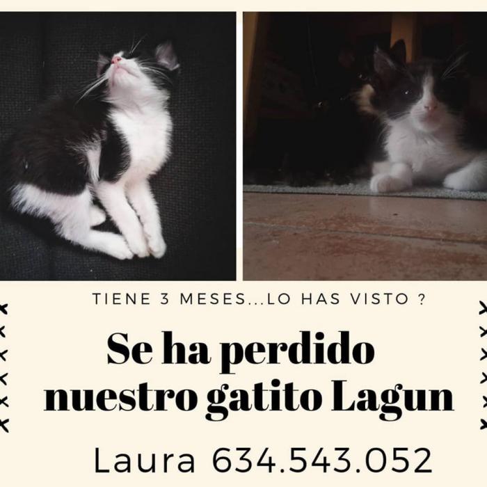 Lagun Lagun