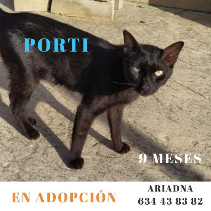 Porti Porti