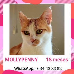 MollyPenny