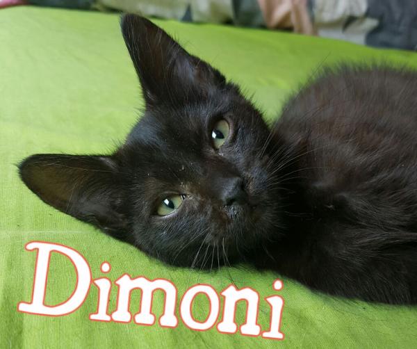 Dimoni