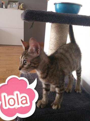 Lola