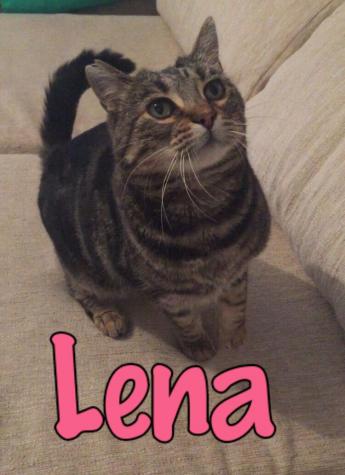 Lena