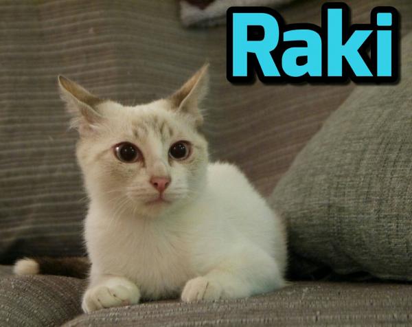 Raki