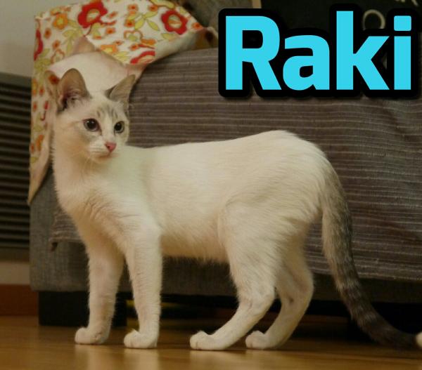 Raki