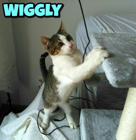 Wiggly