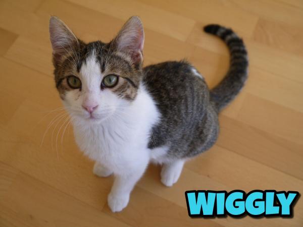 Wiggly