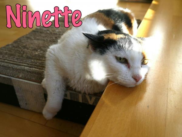 Ninette