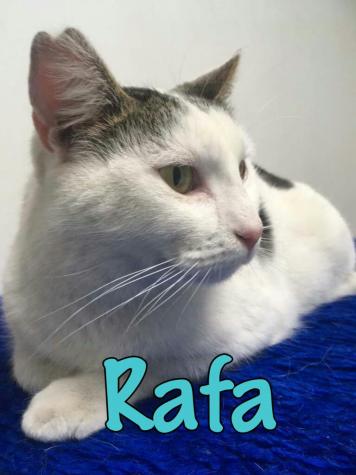 Rafa