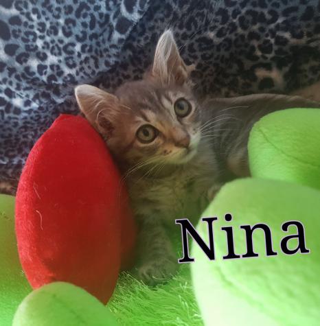 Nina