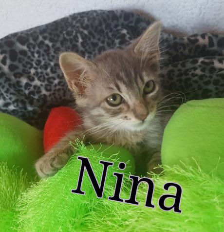 Nina