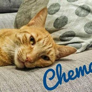 Chema