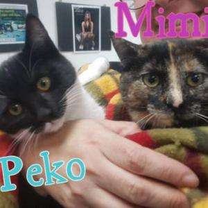 Peko & Mim