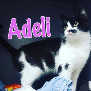 Adeli