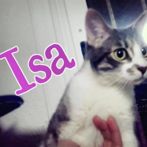 Isa