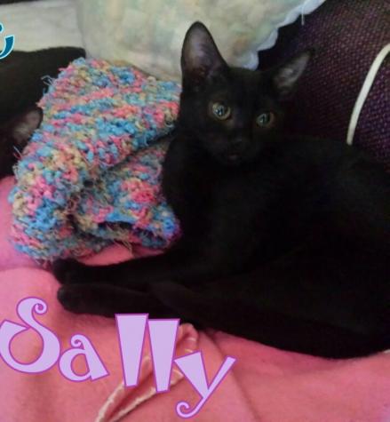 Sally