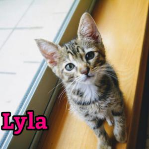 Lyla