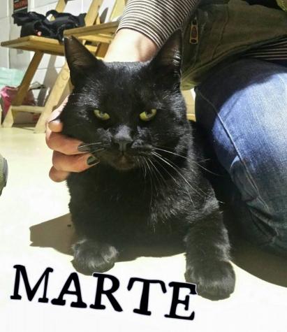 Marte