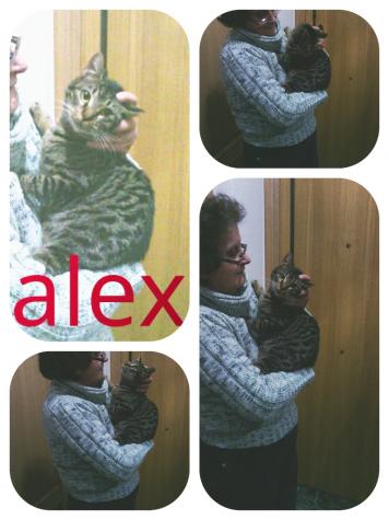 Alex 