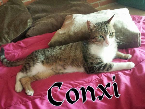 Conxi