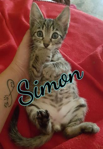 Simon