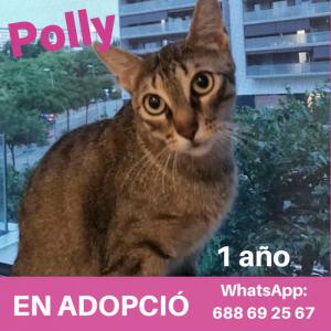 Polly