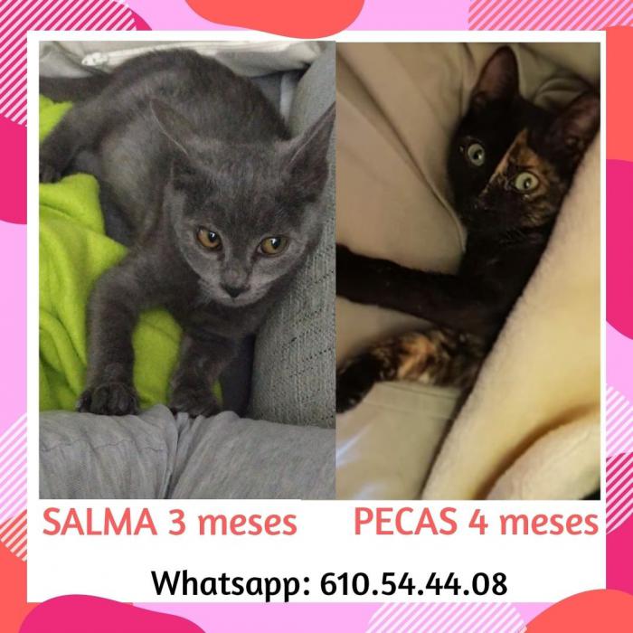 Salma y Pecas