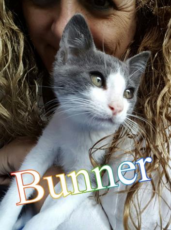 Bunner