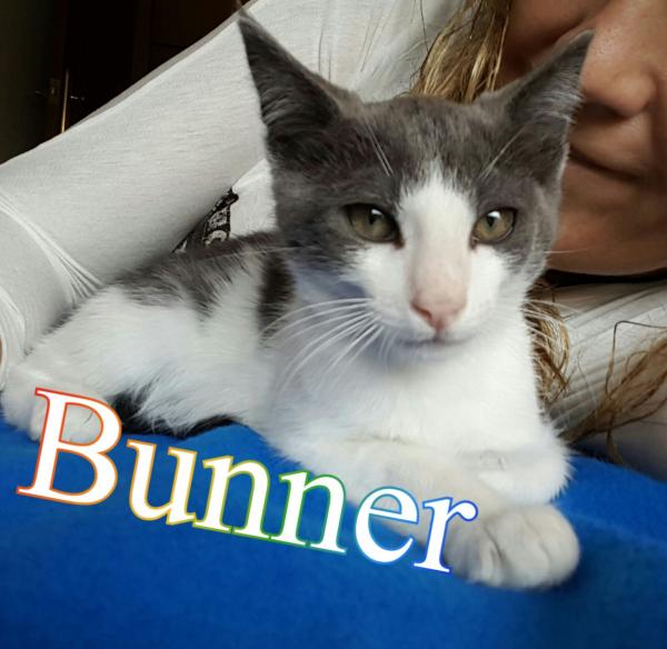 Bunner